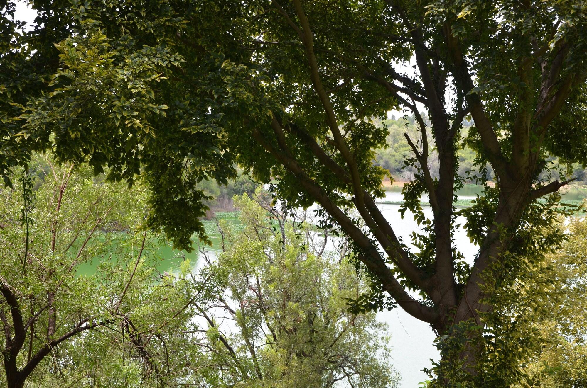 פרטוריה Premier Hotel Roodevalley מראה חיצוני תמונה